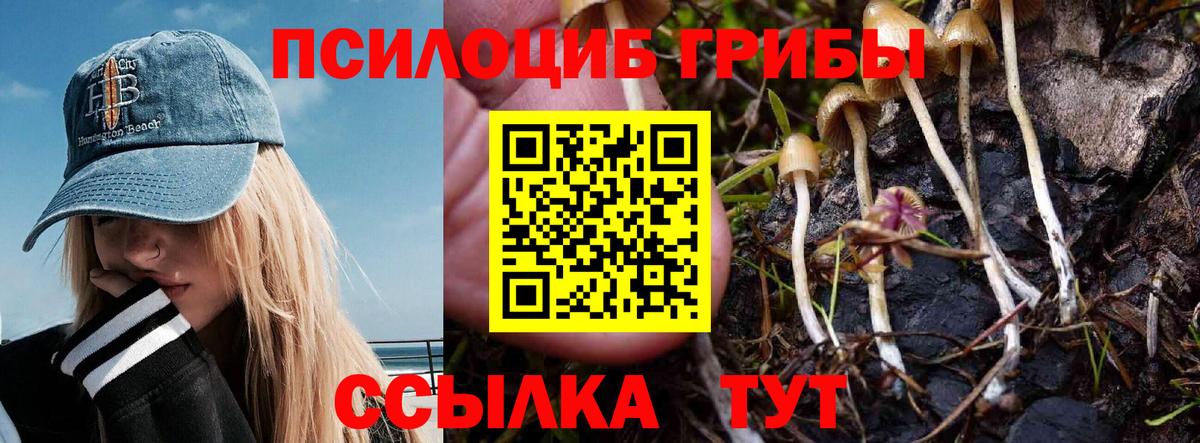 Галлюциногенные грибы прущие грибы Орехово-Зуево