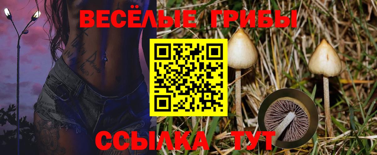Галлюциногенные грибы Cubensis  Вход с VPN  Орехово-Зуево 